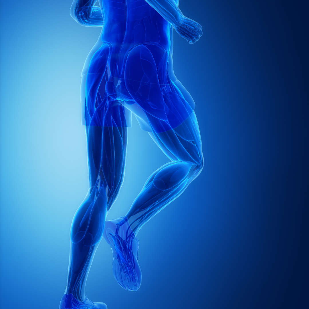 image de synthèse d'un joggeur